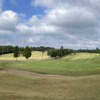 別府百年球場體驗⛳️🏌🏻‍♀️