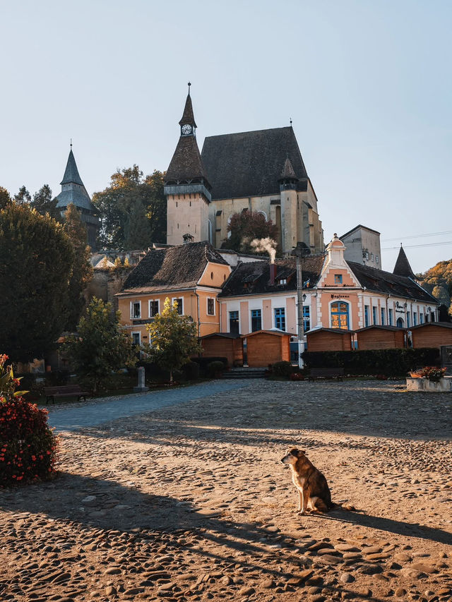 Mystical Charm of Transylvania, Romania! 🏰🌲