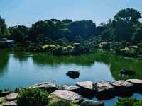 【東京×清澄庭園】亀の日向ぼっこと落ち着く庭園のひととき