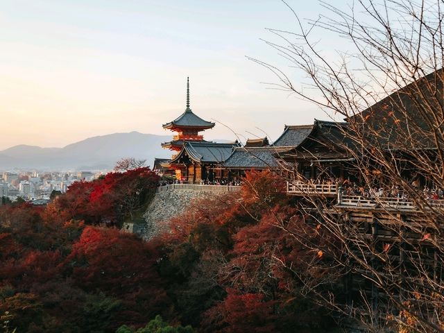 วัดคิโยมิสึเดระ (Kiyomizu-dera Temple)