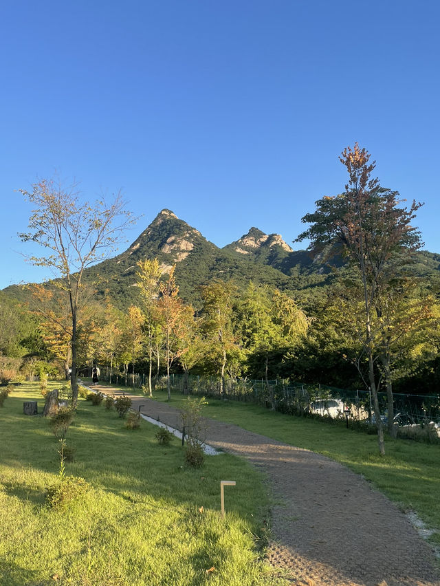 북한산 감성을 마음껏 느낄 수 있는 스타벅스⛰️☕️