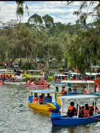 Baguio: The City of Pines and Endless Charm