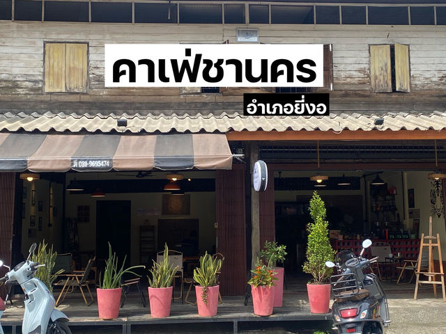 คาเฟ่ชานคร อำเภอยี่งอ