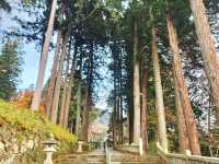 飛驒古川 - 氣多若宮神社