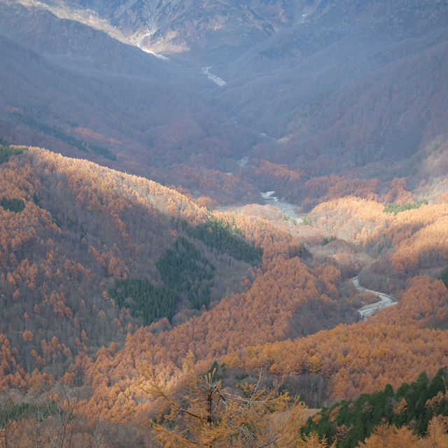 Hakuba ,Japan alps 🇯🇵🗻