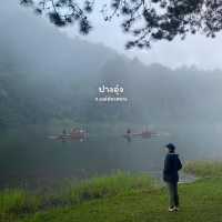 เที่ยว 4 อุทยานแห่งชาติ | ฤดูหนาว 🌳🌿🏕️⛅️