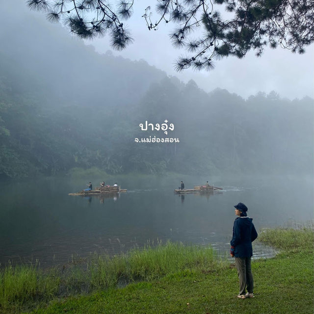 เที่ยว 4 อุทยานแห่งชาติ | ฤดูหนาว 🌳🌿🏕️⛅️