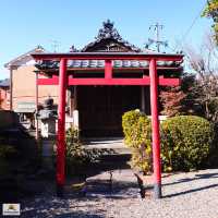 Gifu Giant Buddha