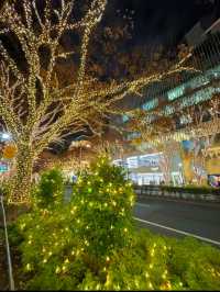 東京旅行はここがおすすめ🤍クリスマスまであと1週間🫣🎄イルミネーション行くならここ行って🫶✨【東京・表参道】