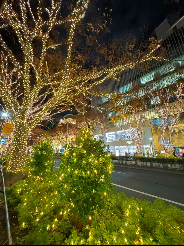 東京旅行はここがおすすめ🤍クリスマスまであと1週間🫣🎄イルミネーション行くならここ行って🫶✨【東京・表参道】