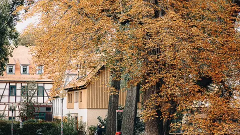 The temperature of history: Haus zum Sonneborn 🌞🏡 — traveler post in Gotha