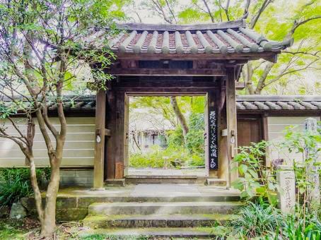 鎌倉🇯🇵瑞泉寺