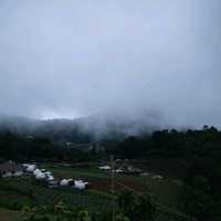 🏡ที่พักหลักร้อย 🏞วิวหลักล้าน~ ม่อนแจ่ม