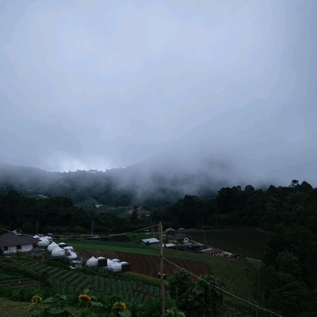 🏡ที่พักหลักร้อย 🏞วิวหลักล้าน~ ม่อนแจ่ม