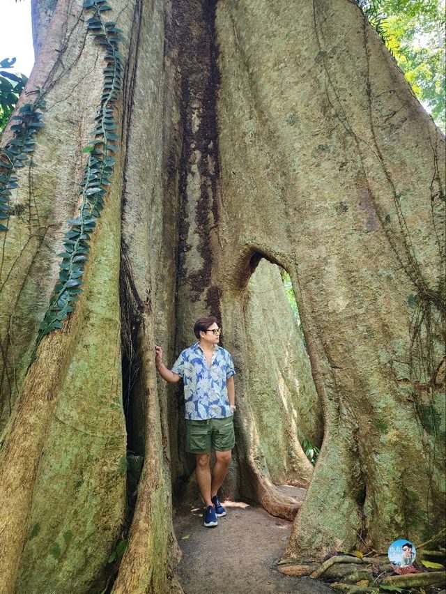 “วัดเขาบรรจบ”