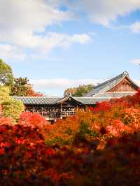 京都楓葉王國！我只服東福寺🍁