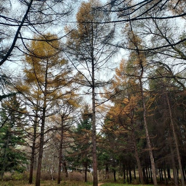 One Day @ Changchun (长春)