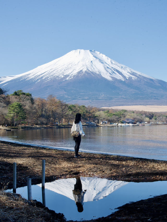 《山中湖》秋から冬の美しい景色に魅せられて