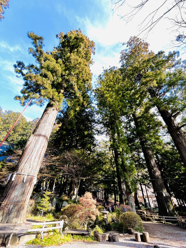 【山梨 冬の日帰り旅】  映えスポットとして人気の「天空の鳥居」