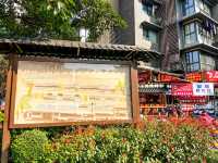 청두 citywalk....泡桐树街