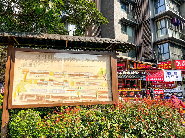 청두 citywalk....泡桐树街