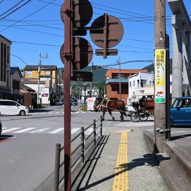福岡出發！🚂乘坐由布院之森列車，馬車漫遊夢幻由布院！🐴✨