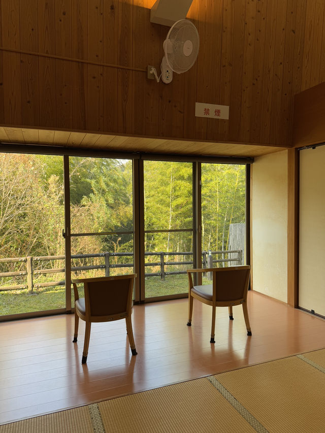 【和歌山旅行】有田／町営温泉でスベスベ肌✨️