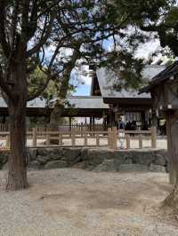 The Incredible Atsuta Jingu Shrine, Nagoya’s historical gem 🏰 🇯🇵 🏯🗾