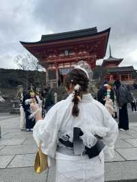 來京都一定要體驗最流行的大正浪漫風和服