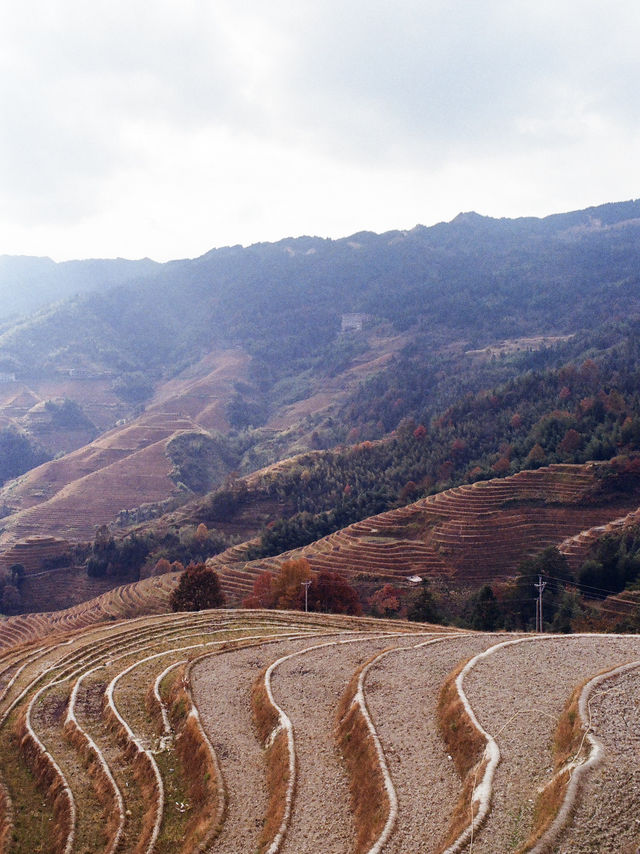 The Golden Pit — Terraced Rice Paddies in Longji, Guilin