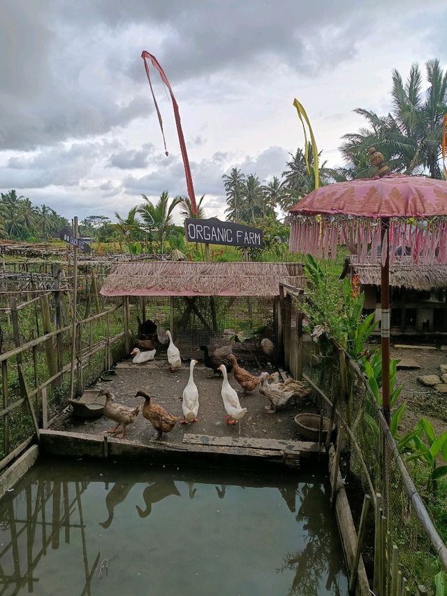 Joglo village of Subak Sok Wayah