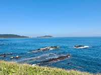 金山：溫泉、海景、老街