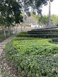 Wenxin Forest Park: A Breath of Fresh Air