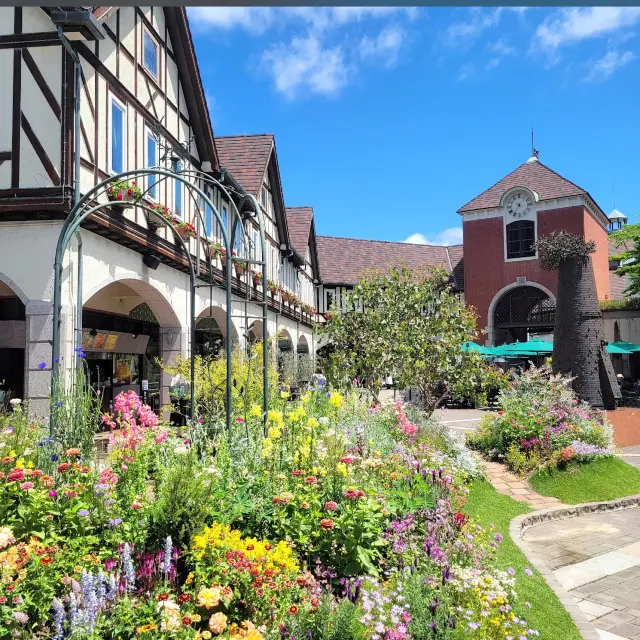 ︎神戶︎ 從纜車上眺望的絕佳香草園景色