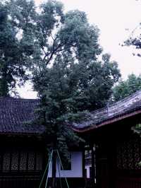 📍Chengdu Day Trip to a Monastery