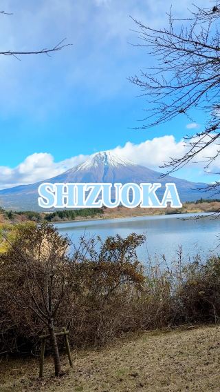 일본에서 가장 좋았던 도시🇯🇵