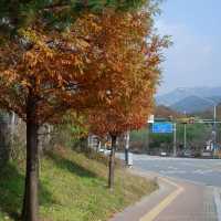 แนะนำวิธีเดินทางไปหมู่บ้าน Eunpyeou Hanok Village
