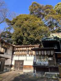 【埼玉浦和】ウサギがお出迎えしてくれる調神社✨