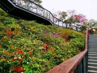 玉龍公園