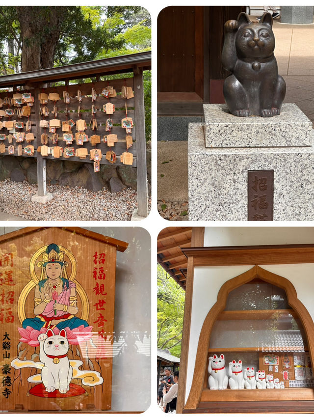 尋找東京🇯🇵招財貓🐱之旅 (二)