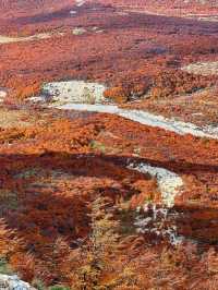 สัมผัสความสวยงามของเส้นทาง Patagonia 