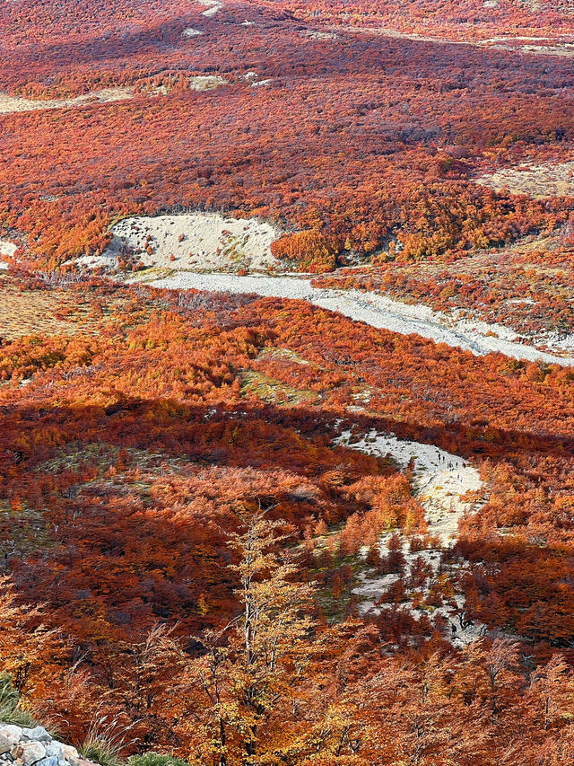 สัมผัสความสวยงามของเส้นทาง Patagonia 