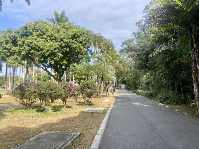 週末好去處🔥如非洲草原般的深圳「東湖公園」🌴🏞️