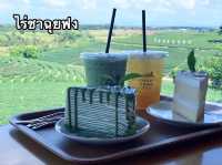 ไร่ชาฉุยฟง 🍵