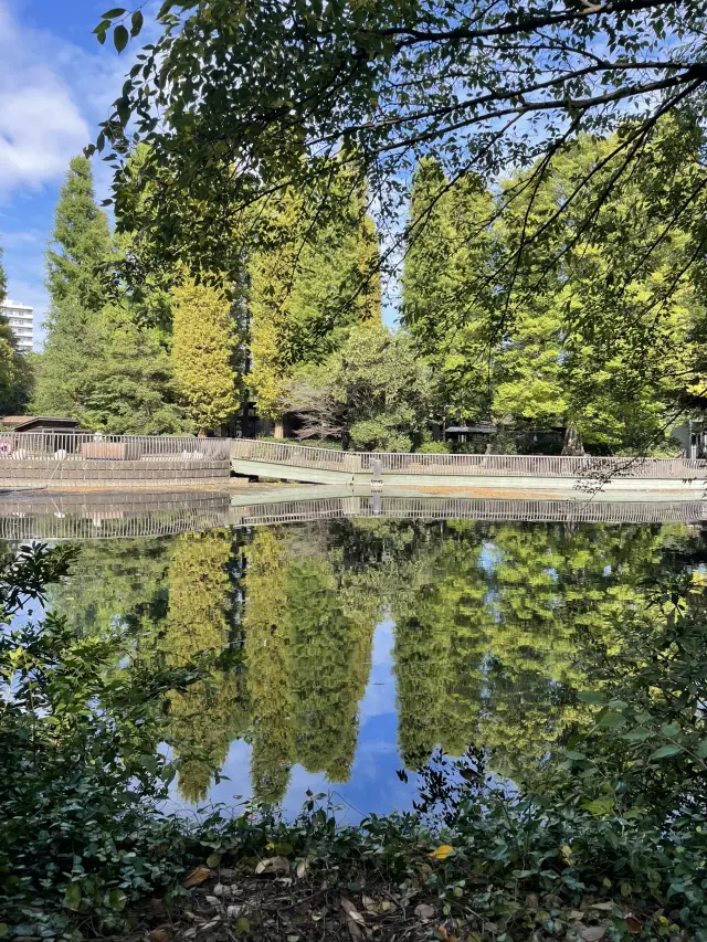 東京｜到井之頭公園放空 附天鵝船都市傳說