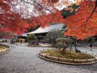 A Symphony of Colors —  The Nison-in Temple of Arashiyama