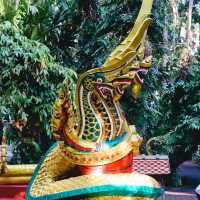 คำชะโนด วังนาคินทร์