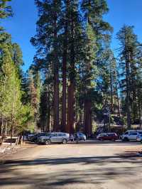 Kings Canyon is more than just a scenic destination