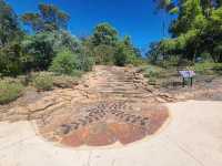 Kings Park and Botanic Garden in Perth