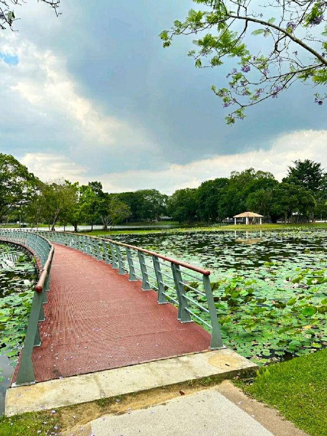 HIDDEN GEM IN CYBERJAYA.